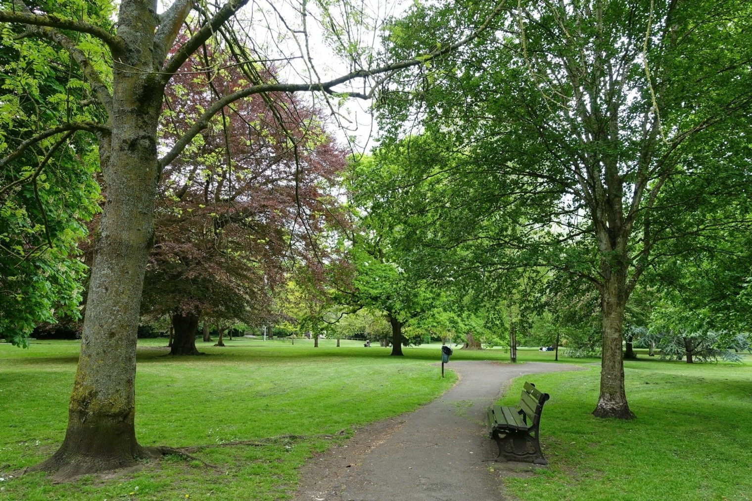 Park in Newbury