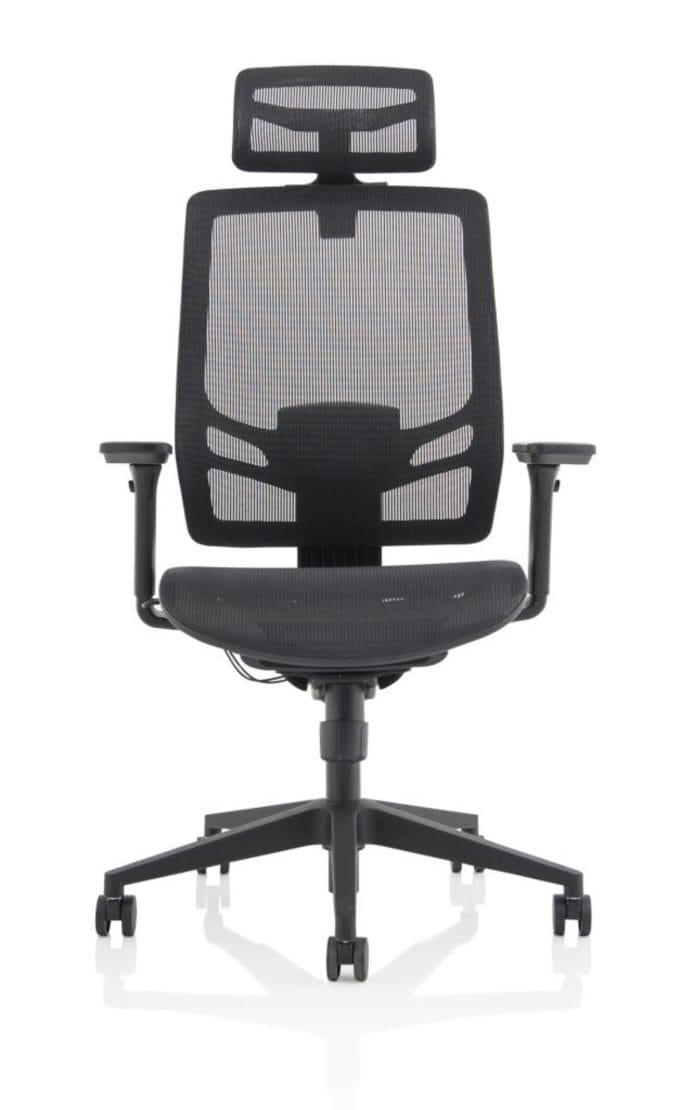 Ergo Twist Black Mesh Seat Mesh Back with Headrest